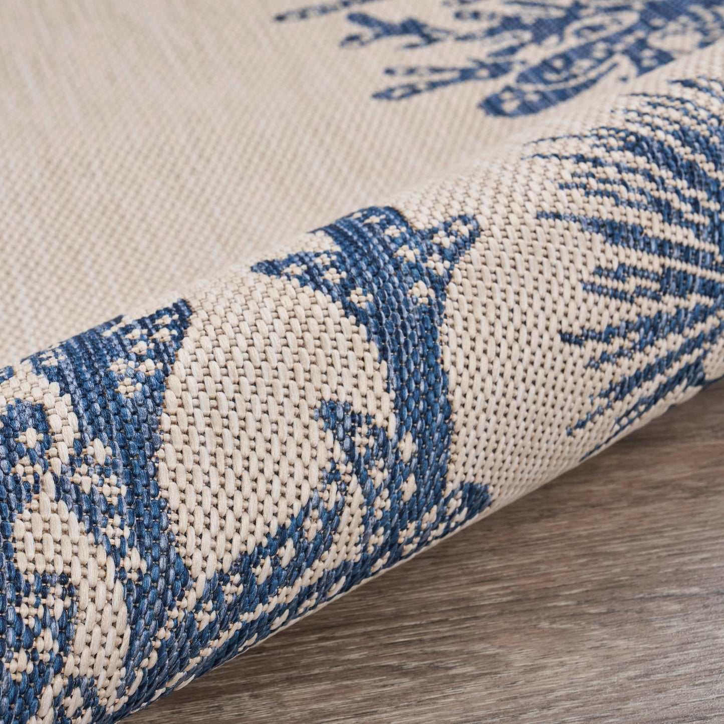 Coastal Border Coral Reef Indoor/Outdoor Rug