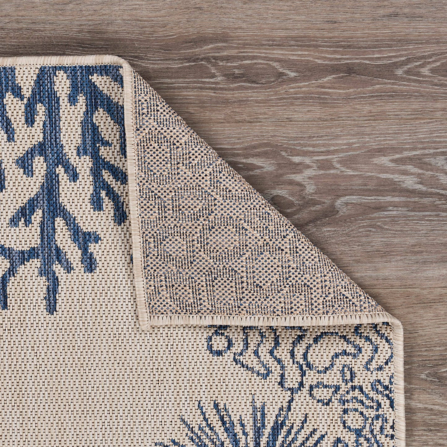 Coastal Border Coral Reef Indoor/Outdoor Rug