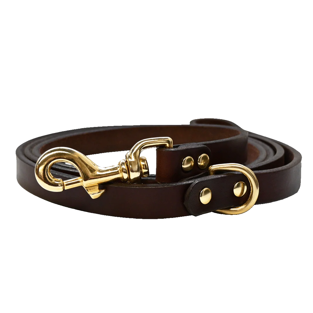 Dog Leash