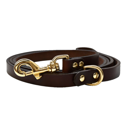 Dog Leash