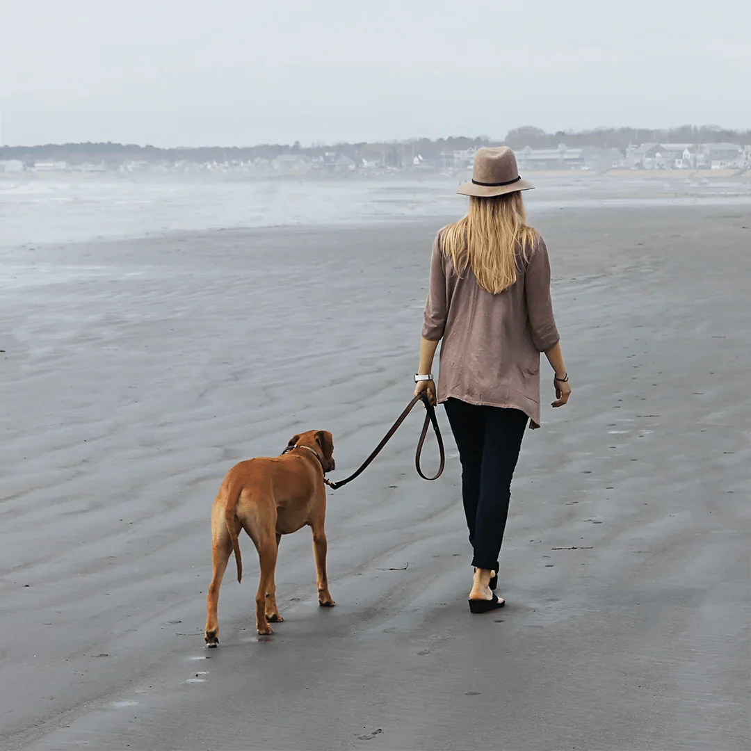 Dog Leash