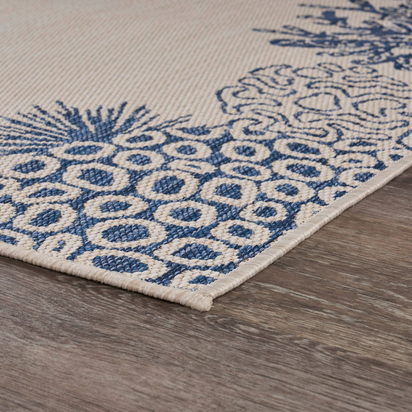Coastal Border Coral Reef Indoor/Outdoor Rug