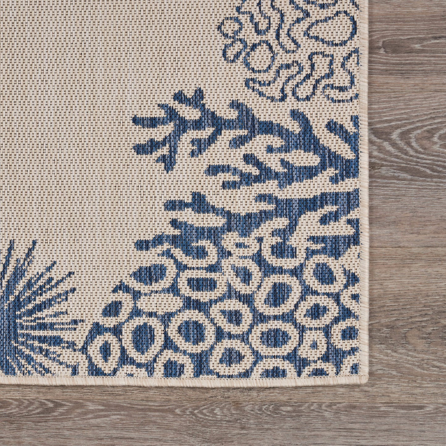 Coastal Border Coral Reef Indoor/Outdoor Rug