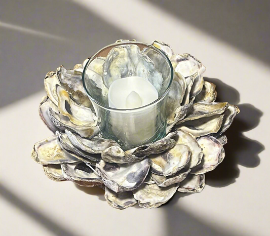 Oyster candle holder