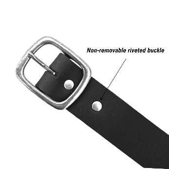 Canyon Belt-1.5”